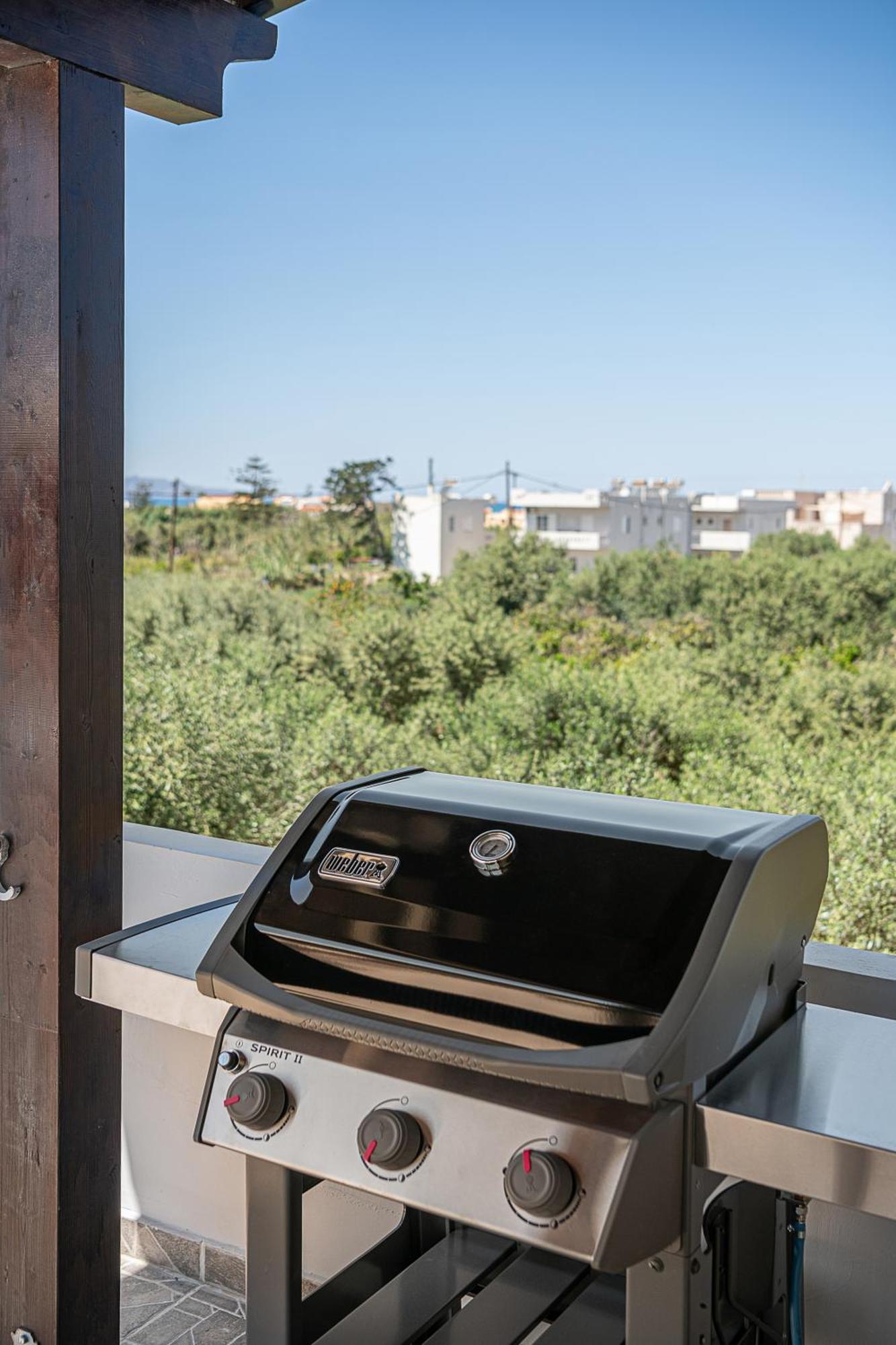 Sol Luxury Apartment - Close To The Beach With A Private Mini Pool Chania  Eksteriør billede